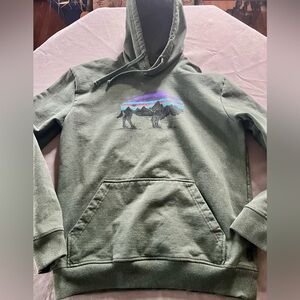 Patagonia Men’s Roy Fritz Buffalo Hoodie